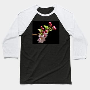 Apple Blossom Time Baseball T-Shirt